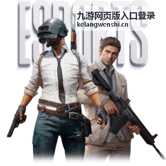 九游网页版入口登录流程中的关键检查点示意